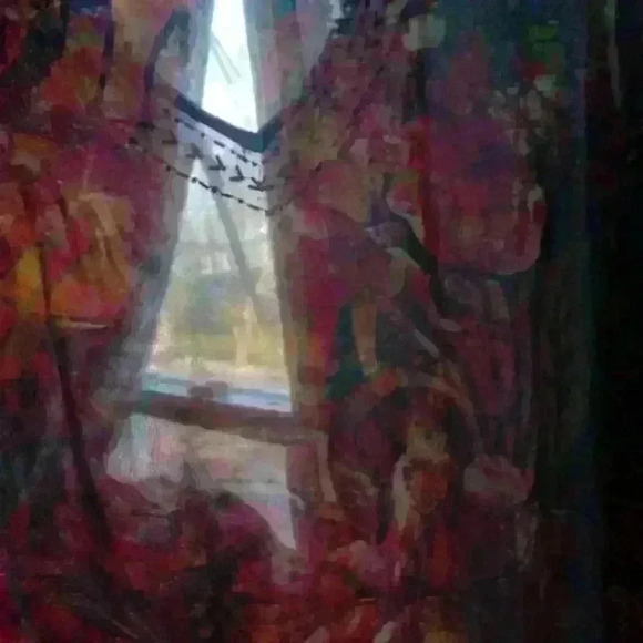 Chicos multicolor jewel embellished 100% silk size 0 front tie sheer lightweight - Picture 6 of 8